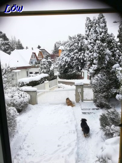 20.2.2026 - Endlich Neuschnee